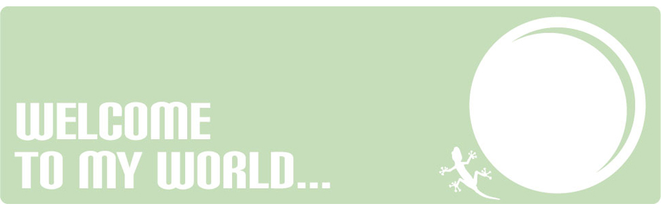 Welcome To My World
